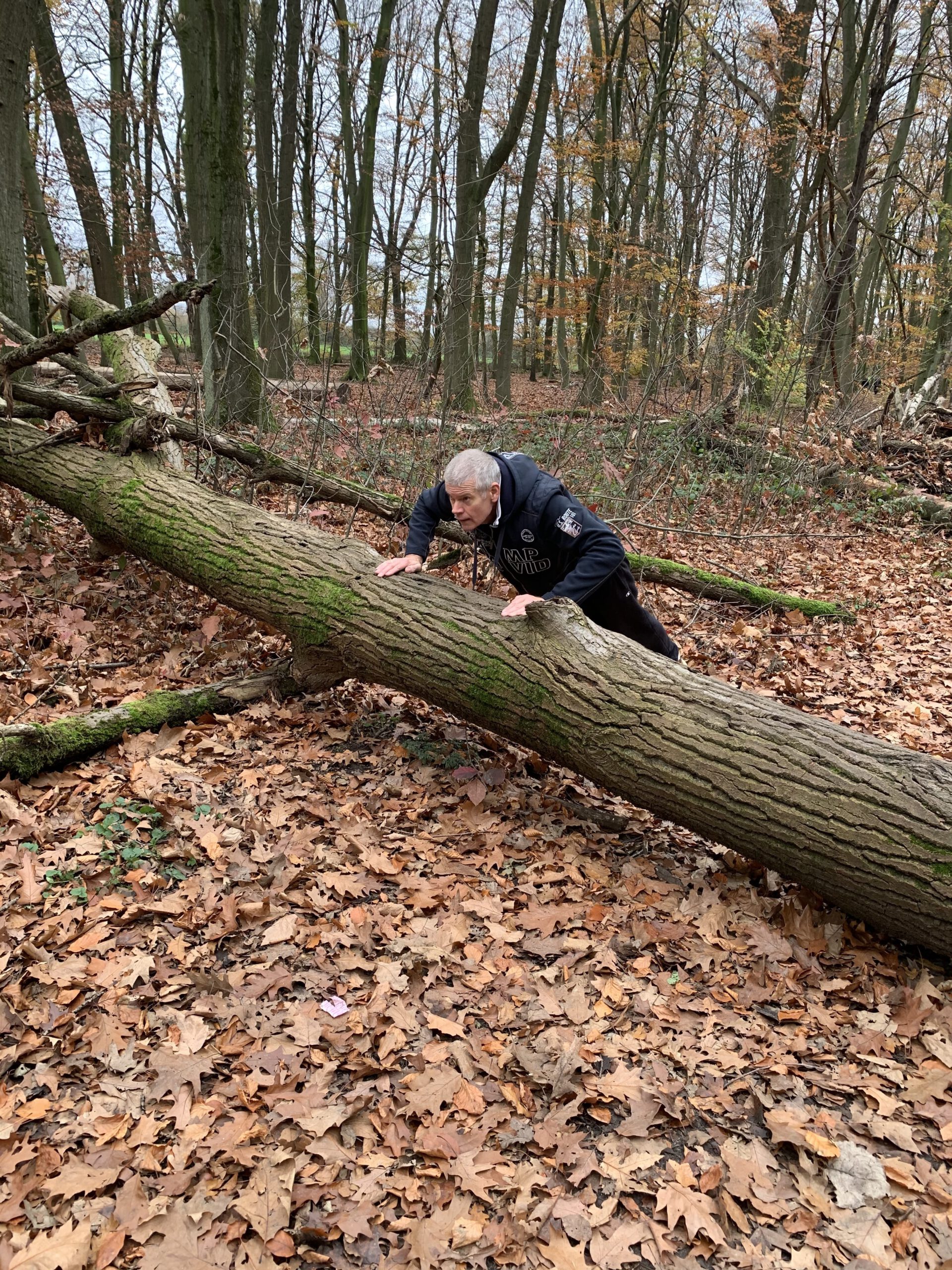 Sport passt nicht in den Wochenplan? Papperlapapp!